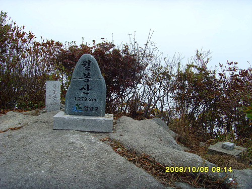 이미지를 클릭하면 원본을 보실 수 있습니다.