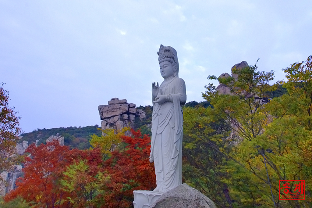 이미지를 클릭하면 원본을 보실 수 있습니다.