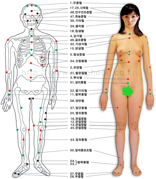 이미지를 클릭하면 원본을 보실 수 있습니다.