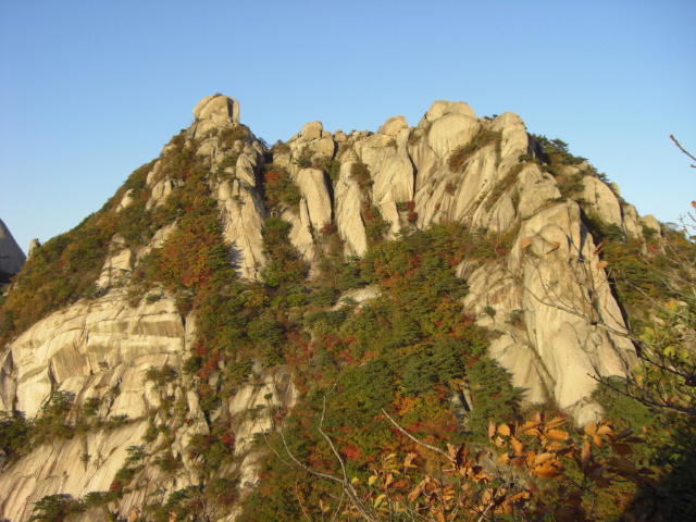 이미지를 클릭하면 원본을 보실 수 있습니다.