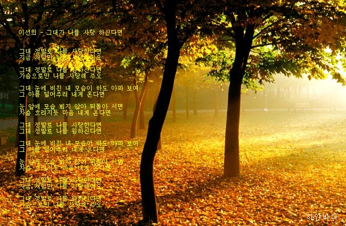이미지를 클릭하면 원본을 보실 수 있습니다.