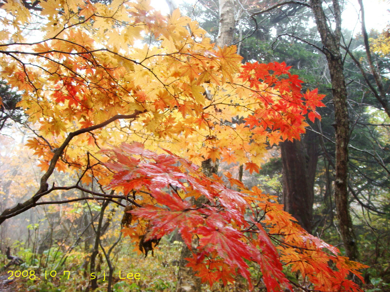이미지를 클릭하면 원본을 보실 수 있습니다.