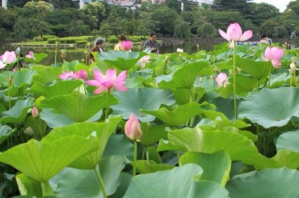 이미지를 클릭하면 원본을 보실 수 있습니다.
