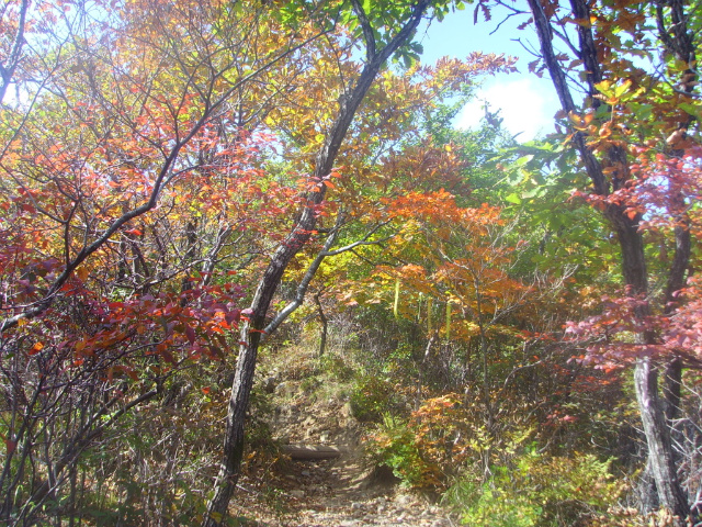 이미지를 클릭하면 원본을 보실 수 있습니다.