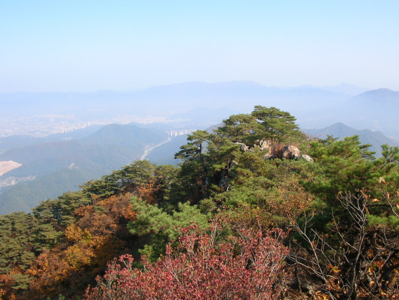 이미지를 클릭하면 원본을 보실 수 있습니다.