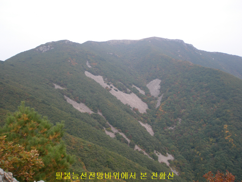이미지를 클릭하면 원본을 보실 수 있습니다.