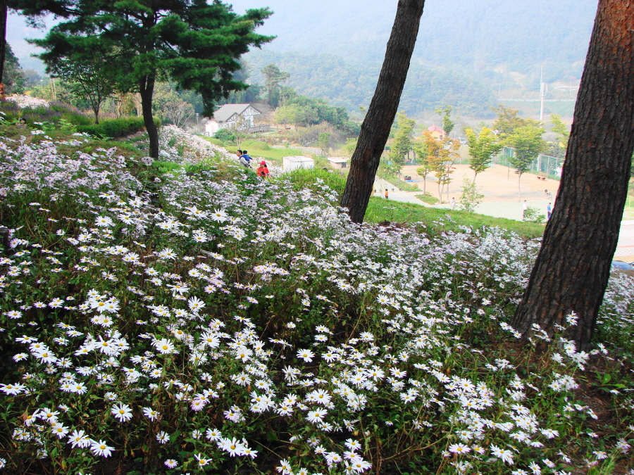 이미지를 클릭하면 원본을 보실 수 있습니다.