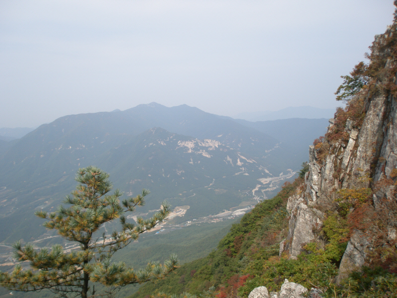 이미지를 클릭하면 원본을 보실 수 있습니다.