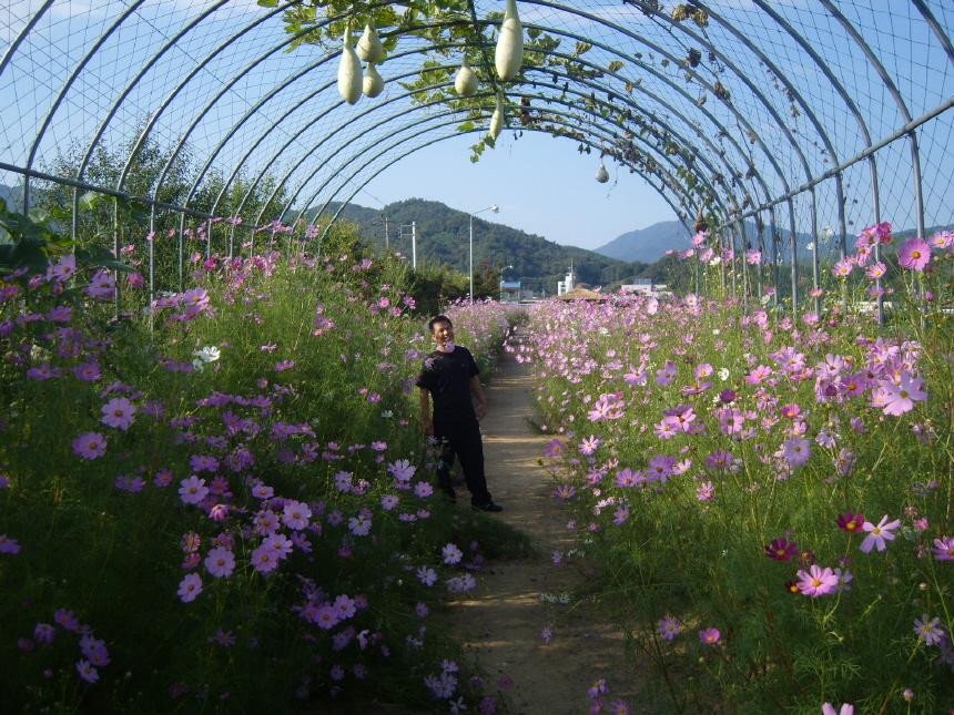 이미지를 클릭하면 원본을 보실 수 있습니다.