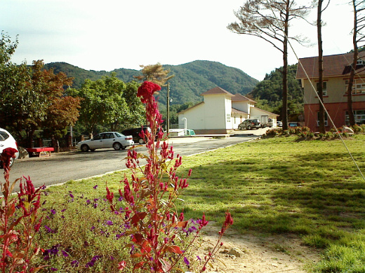 이미지를 클릭하면 원본을 보실 수 있습니다.