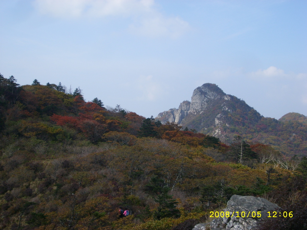 이미지를 클릭하면 원본을 보실 수 있습니다.