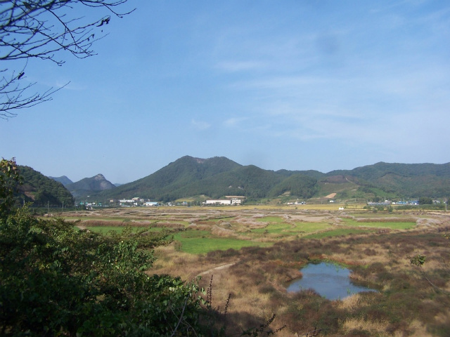 이미지를 클릭하면 원본을 보실 수 있습니다.