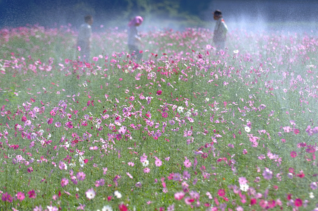 이미지를 클릭하면 원본을 보실 수 있습니다.