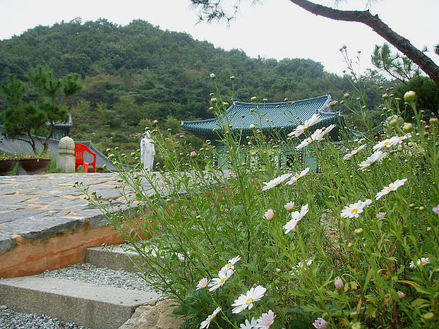 이미지를 클릭하면 원본을 보실 수 있습니다.