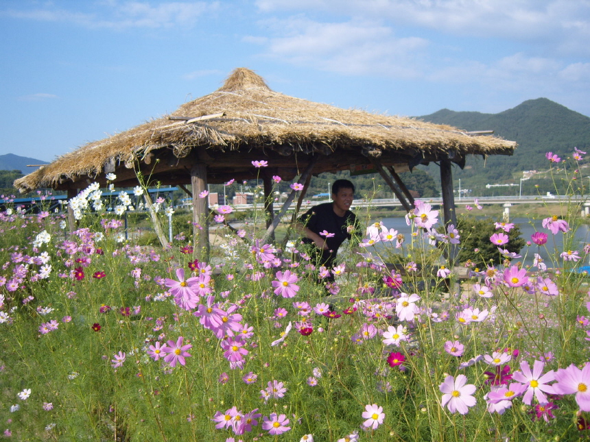 이미지를 클릭하면 원본을 보실 수 있습니다.