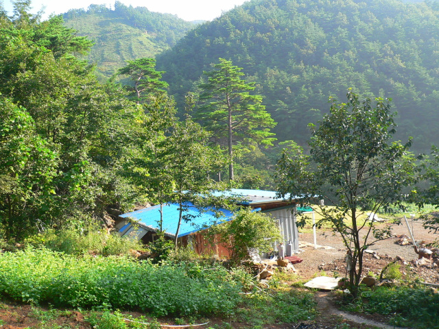 이미지를 클릭하면 원본을 보실 수 있습니다.