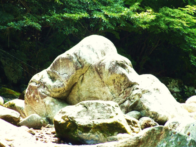 이미지를 클릭하면 원본을 보실 수 있습니다.