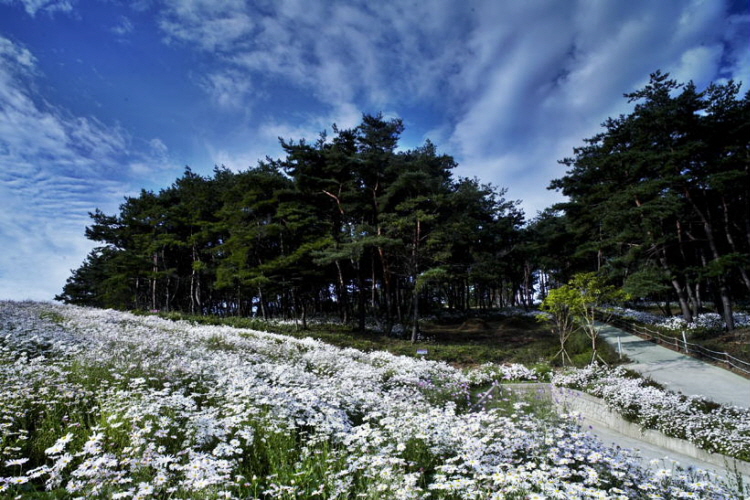 이미지를 클릭하면 원본을 보실 수 있습니다.