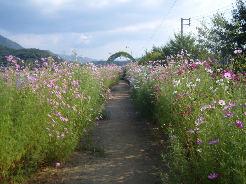 이미지를 클릭하면 원본을 보실 수 있습니다.
