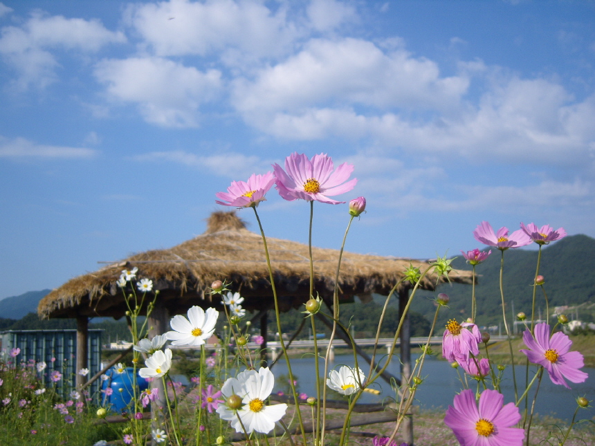 이미지를 클릭하면 원본을 보실 수 있습니다.