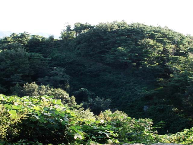 이미지를 클릭하면 원본을 보실 수 있습니다.