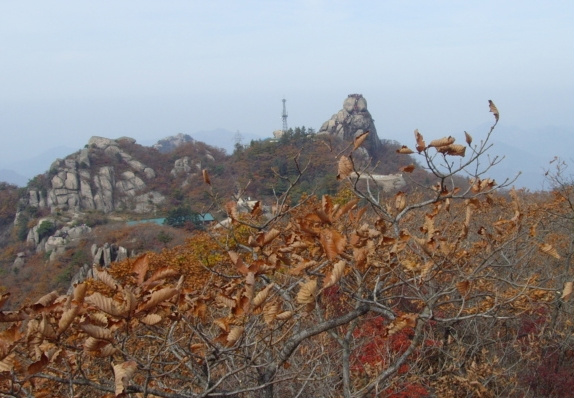 이미지를 클릭하면 원본을 보실 수 있습니다.