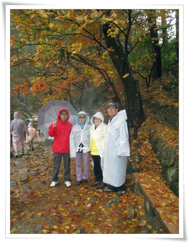 김순애산부인과 이미지