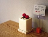 카페501