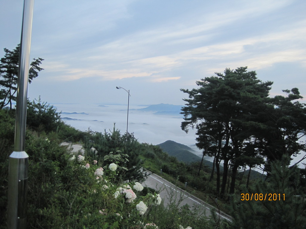 사진