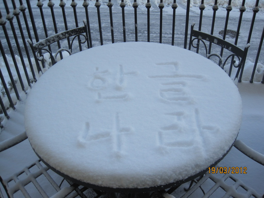 사진