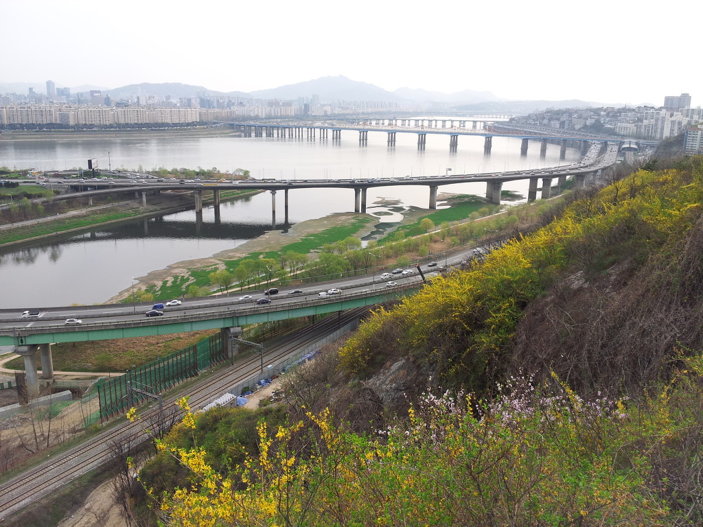 사진