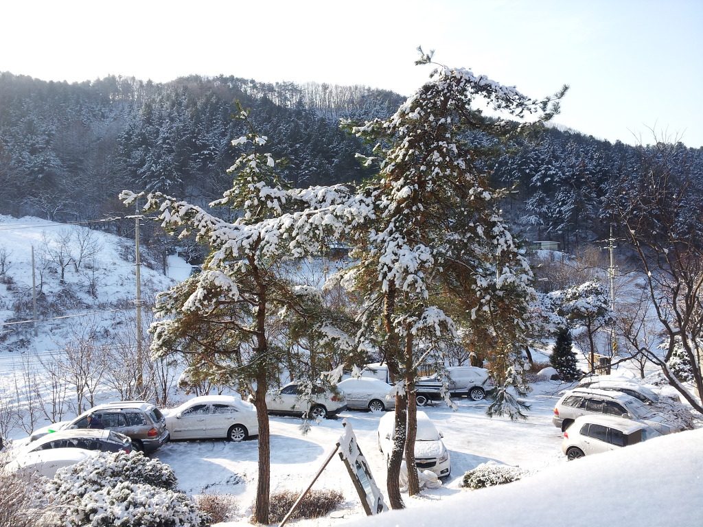 사진