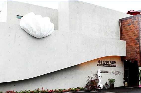 세계조가비박물관 이미지