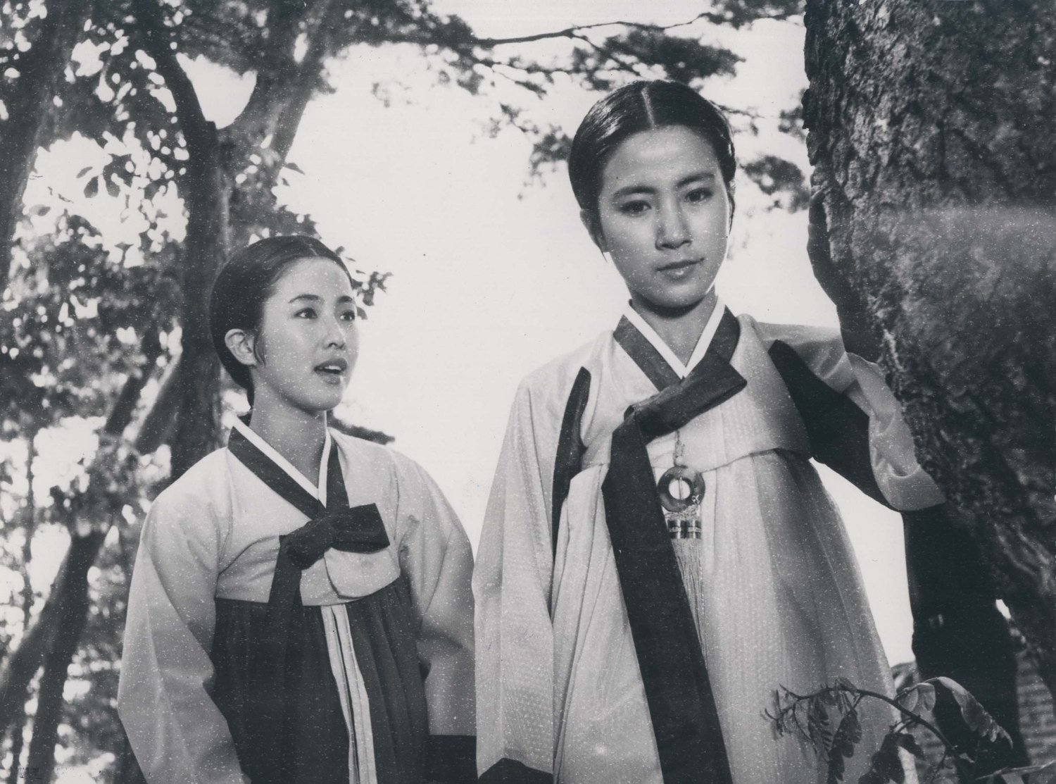 시집 가는 날 | 다음영화