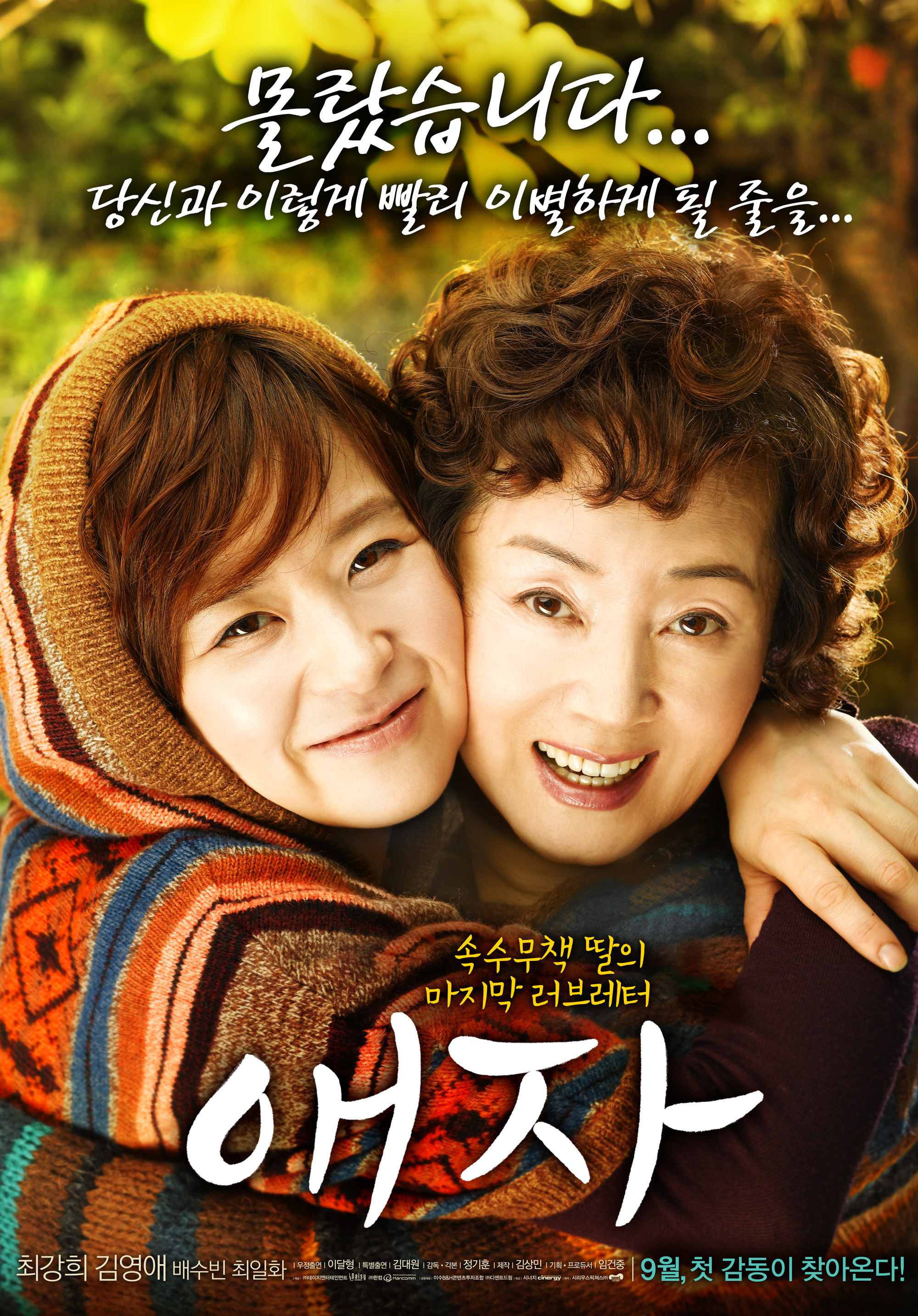 애자 포토 보기