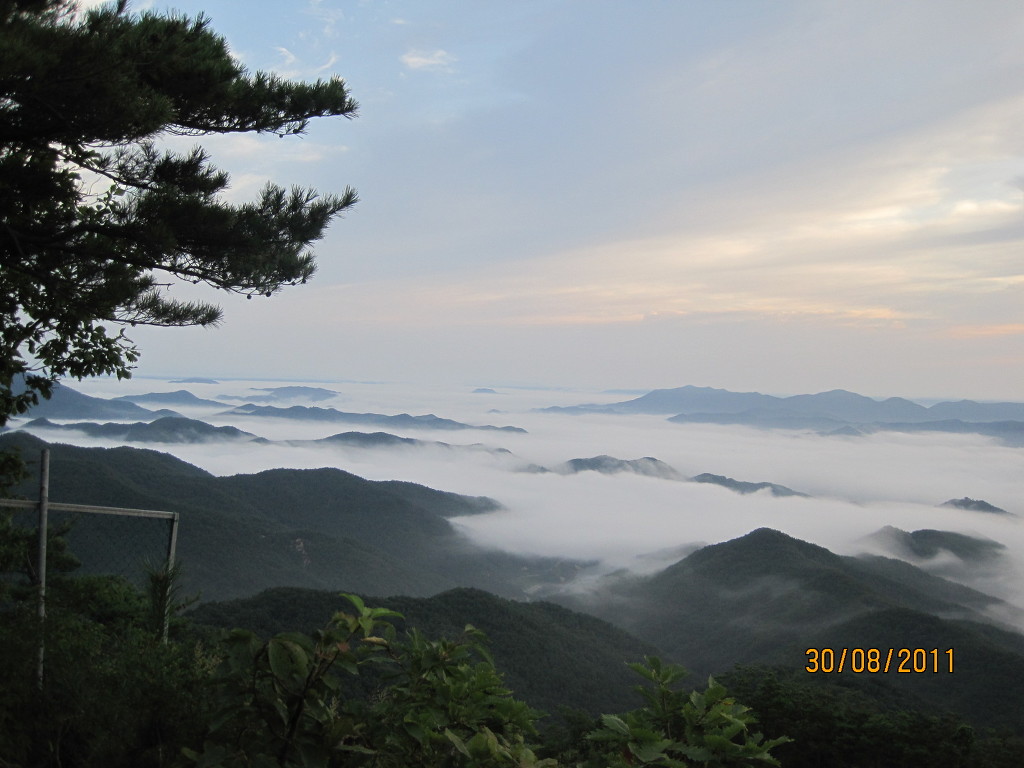 사진