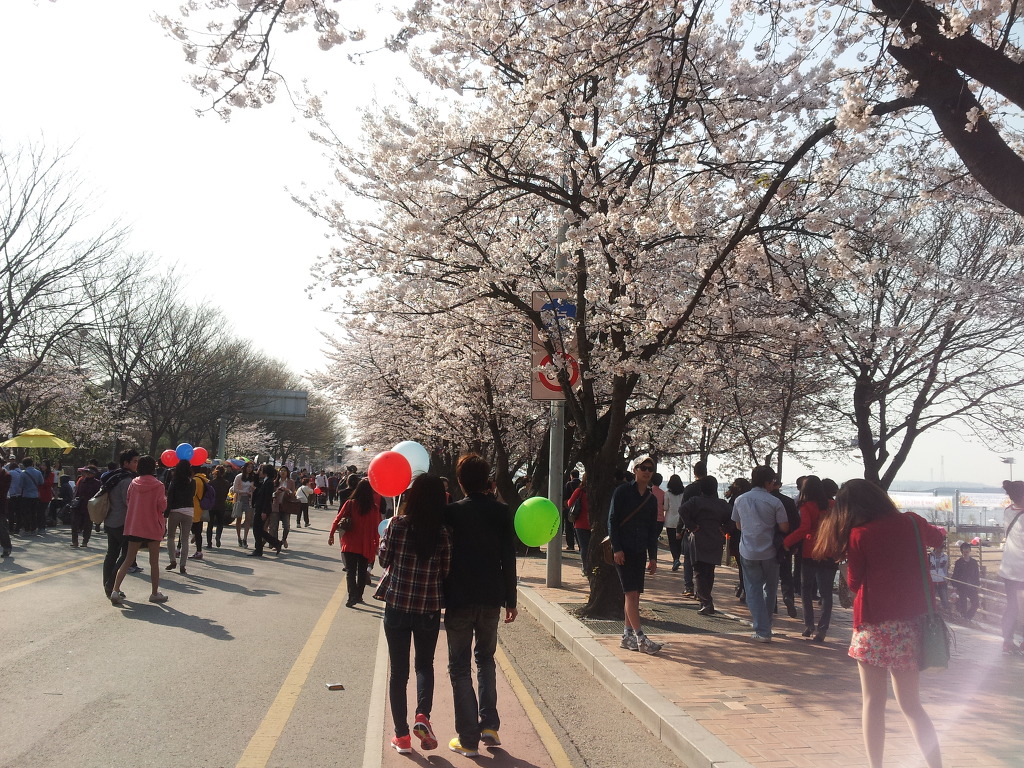 사진
