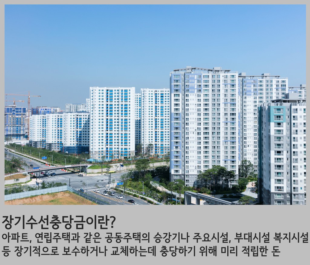 계절수선 이미지