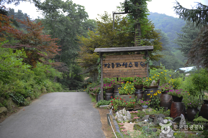 장흥자생수목원