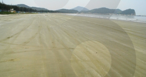 백령도