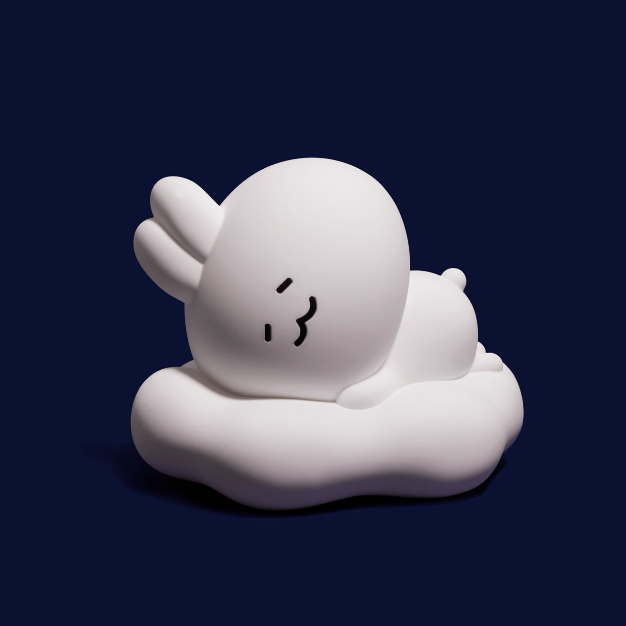 제품 상세사진