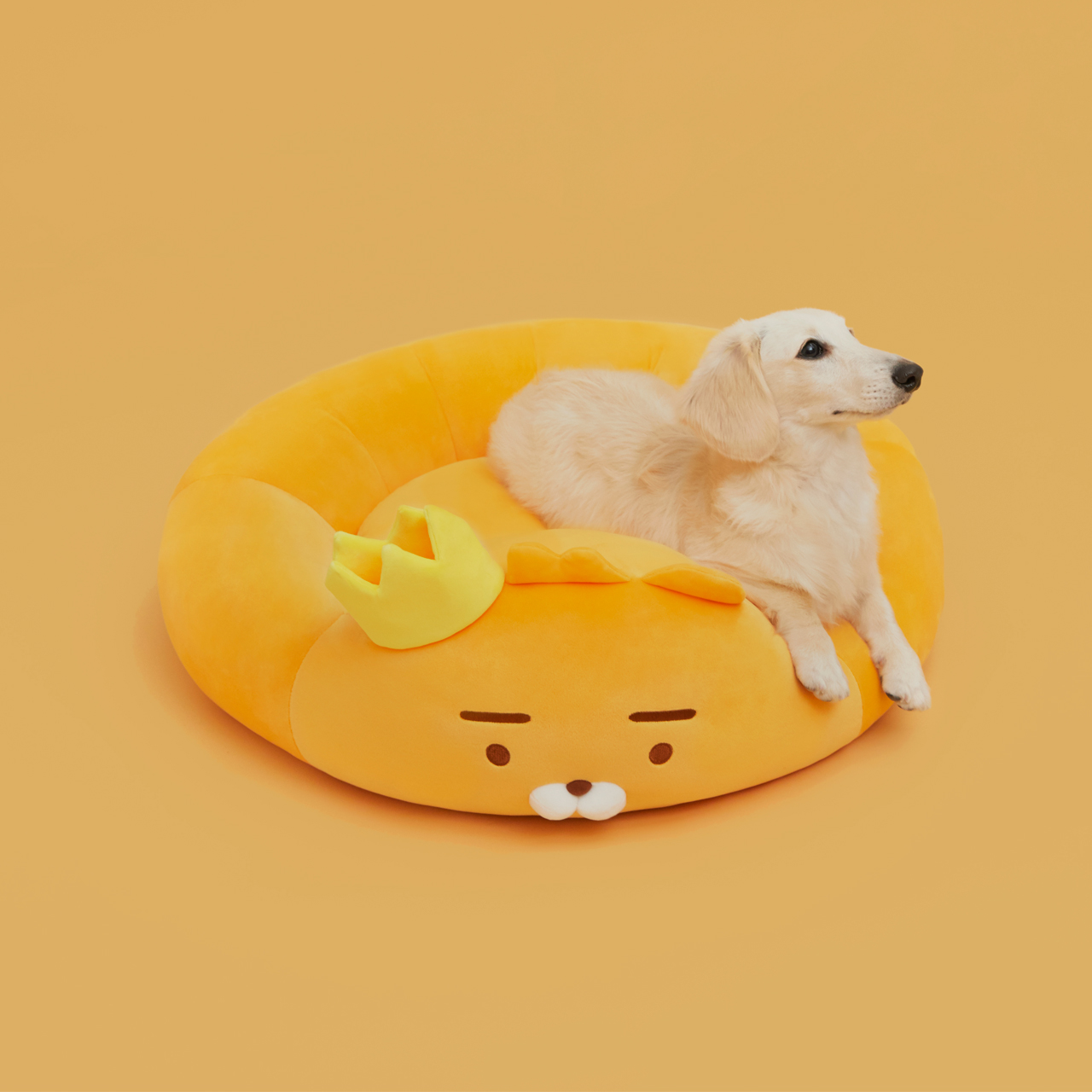 제품 상세사진