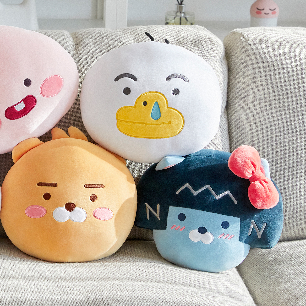 제품 상세사진
