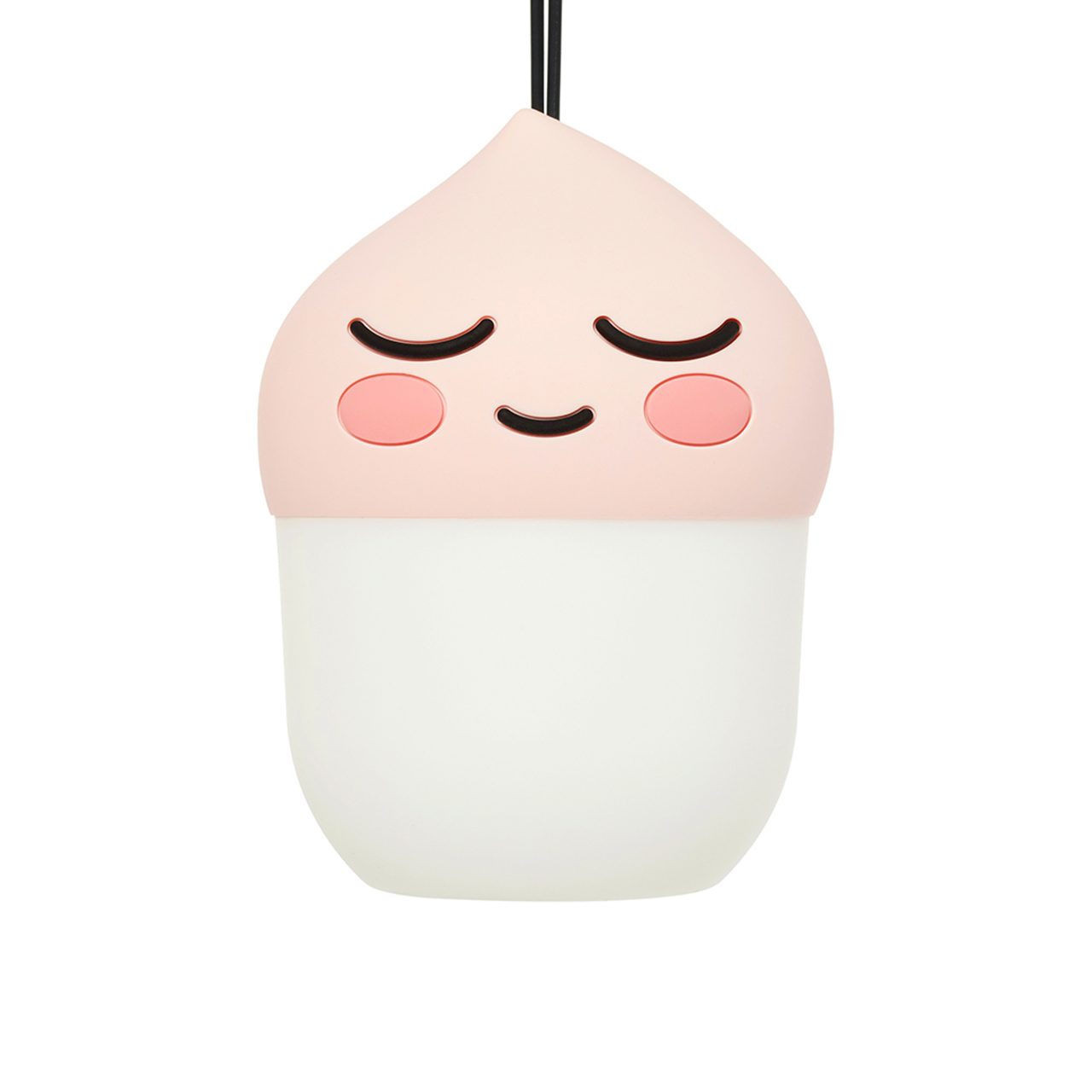 제품 상세사진