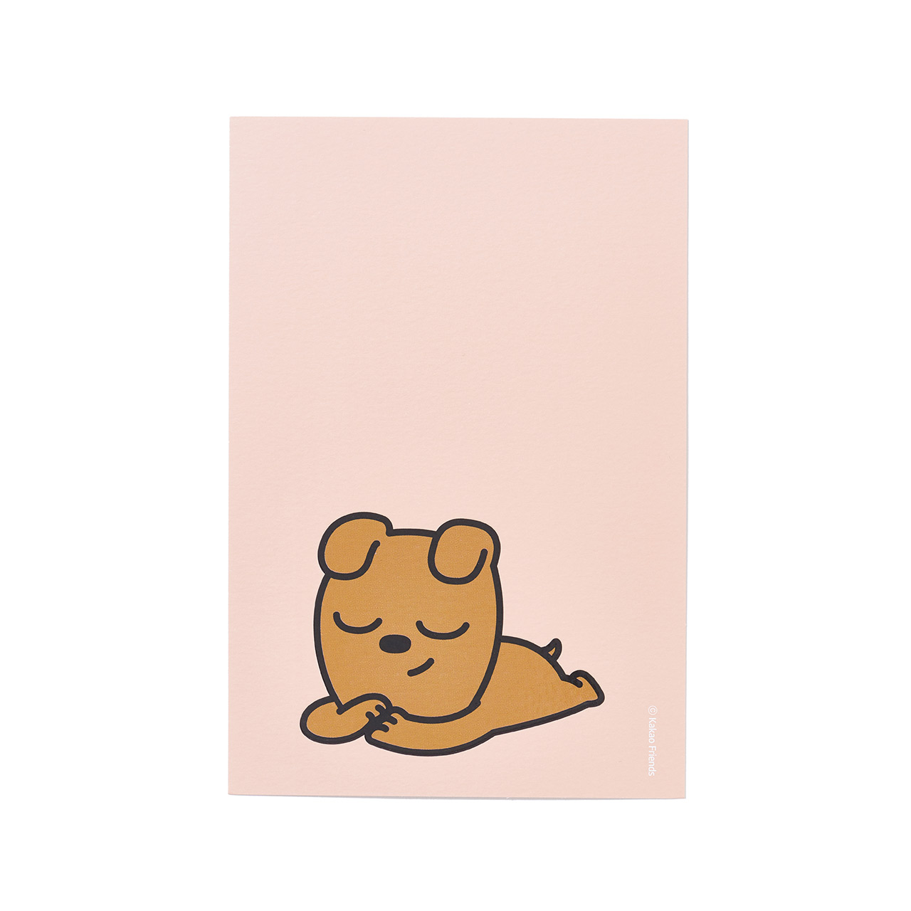 제품 상세사진