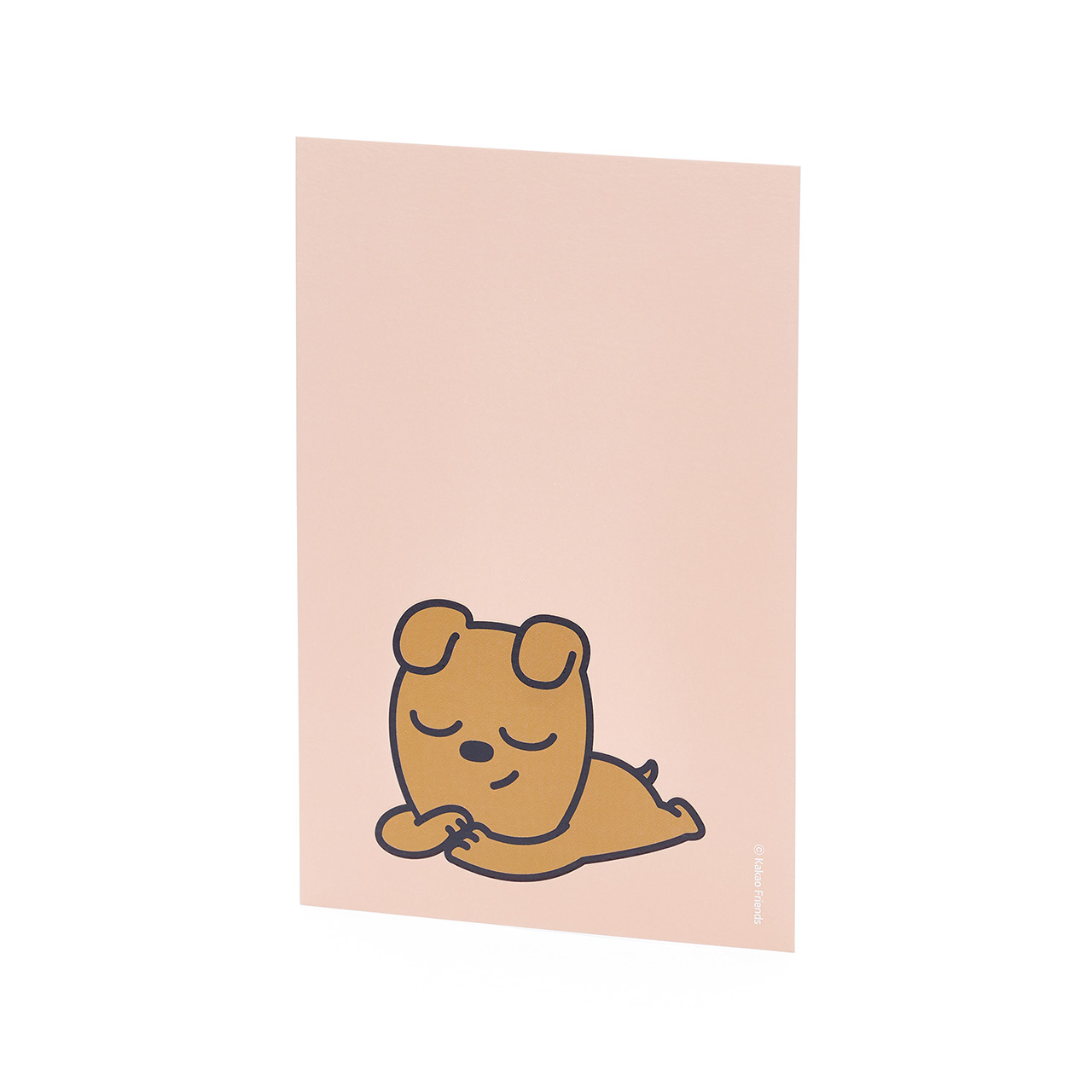 제품 상세사진