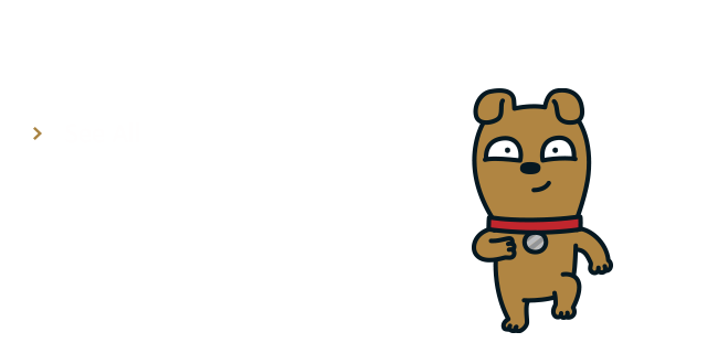 Frodo's Pick