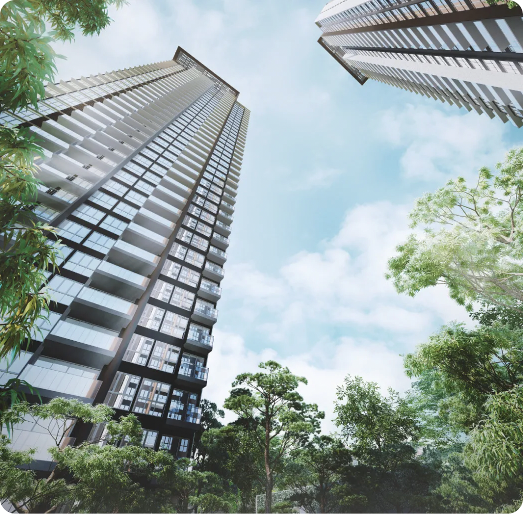 클레멘트캐노피