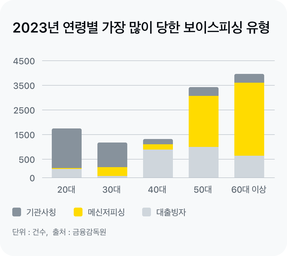 연령별 많이 당한 피싱 유형