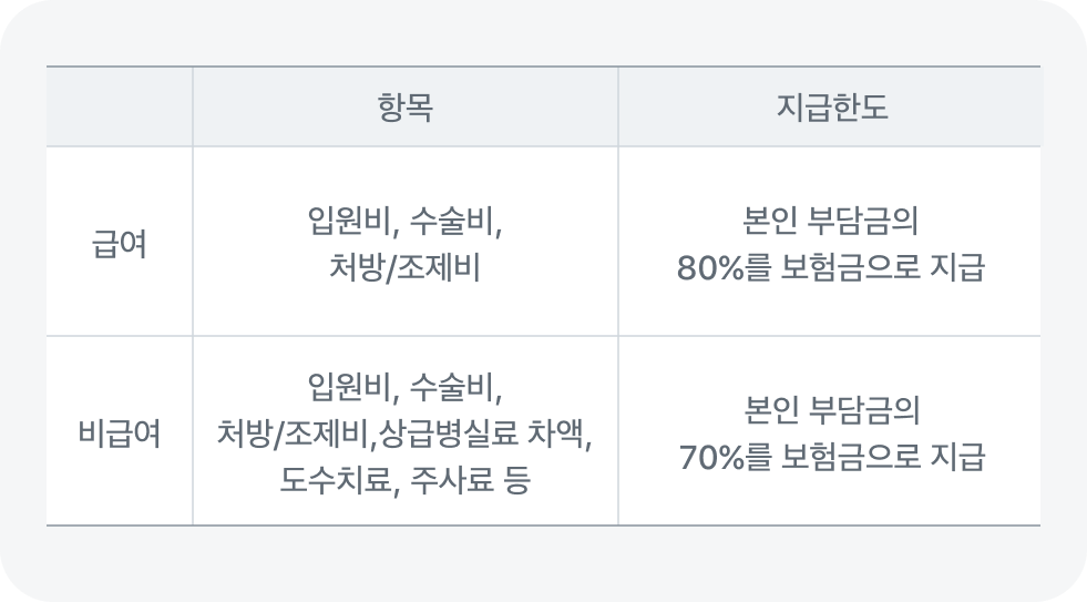 실손보험 보장 항목